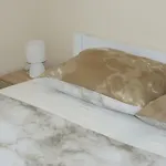 Anamaria Шибеник