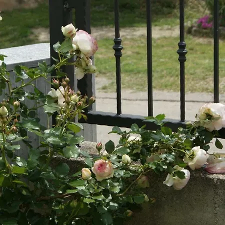 Anamaria Appartement