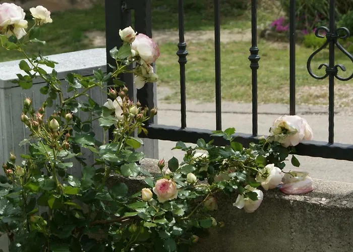 Anamaria Apartamento